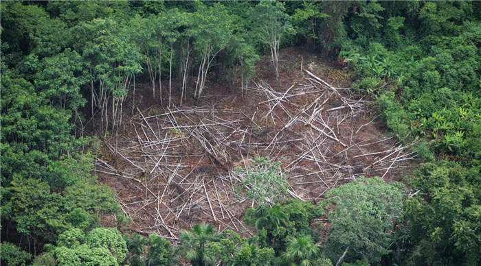 Aerial shot of deforestation in the Amazon, Peru.