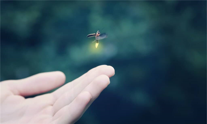 Firefly flying away from a child