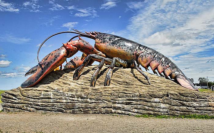 How Often Do Lobsters Eat?