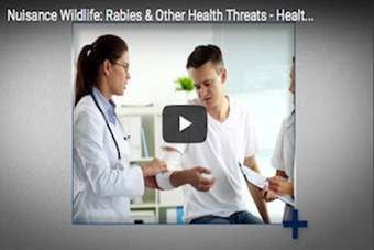 Health Checks - Rabies and Other Nuisance Wildlife Threats.png
